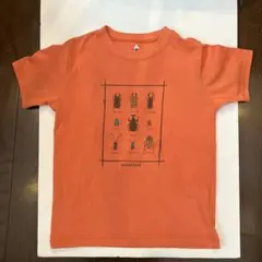 mont-bell 昆虫プリント Tシャツ オレンジ