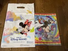 ディズニーリゾート　クリアホルダー