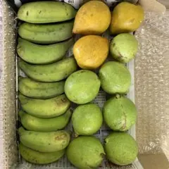 自然栽培　　フルーツセット
