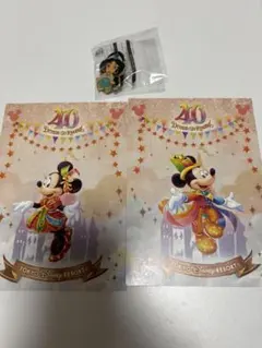 東京ディズニーリゾート ポストカード 2枚とジャスミンのピンバッチ