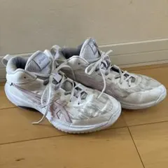 asics ゲル フープ V17 スタンダード 27.0