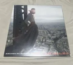 2025年最新】毛皮のマリーズの人気アイテム - メルカリ