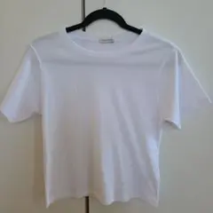 Green Parks 半袖 Tシャツ ホワイト Fサイズのサムネイル