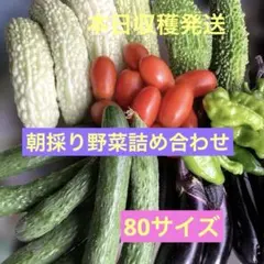 5日朝採り野菜詰め合わせ　80サイズ 写真の物お送りしますのサムネイル
