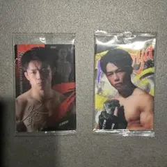RIZIN ウエハース　カード　ヒロヤ2枚セット