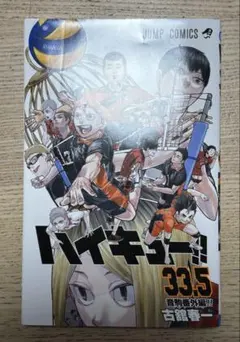 ハイキュー!! 33.5 劇場版 ゴミ捨て場の決戦