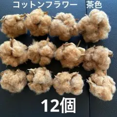 コットンフラワー(茶色) 12個