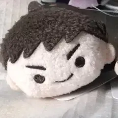 カプころん 囚われのパルマ チアキ ぬいぐるみ - メルカリ