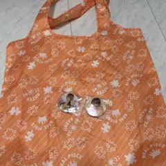 リアルピースかずぅREAL PIECE エコバッグ 缶バッジ2個セット