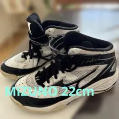 値下げ‼️MIZUNO 発育インソール　スポーツタイプ　22cm