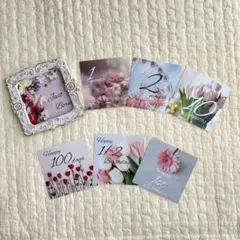 Item thumbnail for item 8f2f87a7-850b-4902-9591-23813bca9e0e