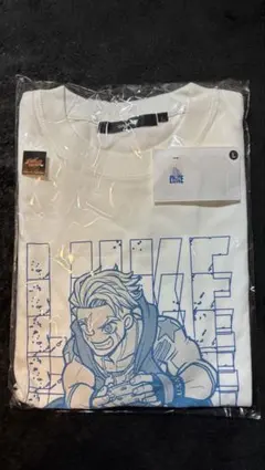 Item thumbnail for item 7b2539d4-ac3d-4ef3-ba7e-92e2ed293a6e