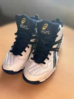 Item thumbnail for item efc28ef2-a1d8-447a-b15d-bf4eeaea899e