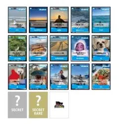 プ*Y様 KAZ LIFE GOES ON フォトカード15種 シークレット以外