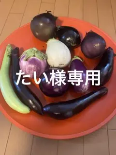 たい様専用です