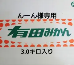 んーん様専用 木熟宮川早生 3S〜2S 3.0キロ入り 4−5
