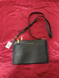 Item thumbnail for item 233e090a-94fa-431a-b5af-9a48e98fba9f