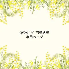 (p♡q´▽`*)様★様　専用ページ
