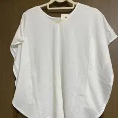 Item thumbnail for item c0b5468b-4d5e-4401-a182-84fbc32fcd16