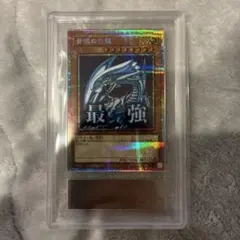 遊戯王 青眼の白龍　プリズマティックシークレットレア　プリシク 青眼の白龍 (遊戯王OCG) プリズマティック シークレットレア 未開封