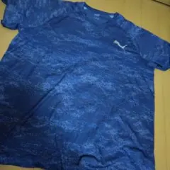 Item thumbnail for item a005344f-07df-485d-9245-801b8a75c7f2