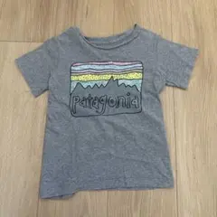 Patagonia グレー Tシャツ 3T