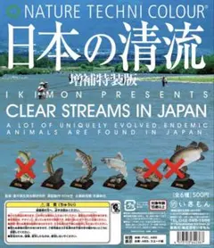 日本の清流　増補特装版　ヤマトイワナ　ヤマメ オイカワ