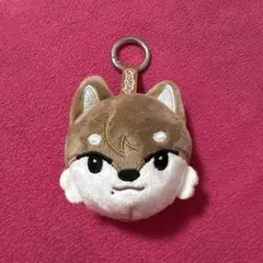 匿名配送 NEXZ NEXZOO ソゴン ゴンスキー 正規品 - メルカリ