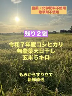 農薬不使用　令和7年産コシヒカリ 天日干し　新鮮もみすり立て　玄米5キロ（白米）のサムネイル