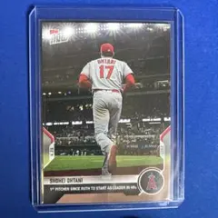 Item thumbnail for item aae78524-e47e-4f62-8dd5-f22f4a11aa57