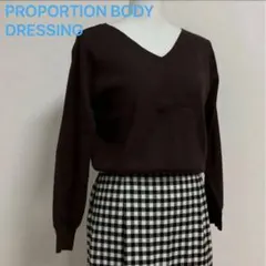 プロポーションボディドレッシング Vネックニット