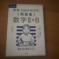 高校 これでわかる 数学 II+B 問題集