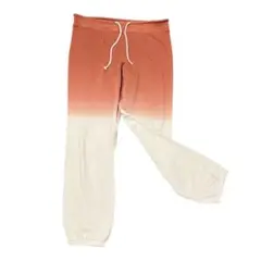 Marine Layer スウェットパンツ XSサイズ Sサイズ グラデーション