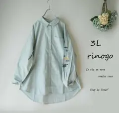 新品値引　春　３Ｌグリーンストライプ袖刺繍長め丈シャツブラウス長袖大きいサイズ