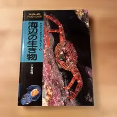 海辺の生き物