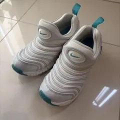 Nike ダイナモ　フリー　22センチ