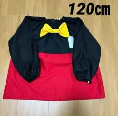 めぅ様専用　長袖スモック★キャラクター風　なりきりスモック　120㌢