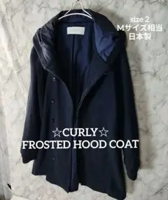 Item thumbnail for item d0207077-fa88-4858-8eaa-21a45577c5bf