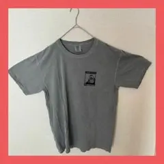 古着 COMFORT COLORS Tシャツ L BigDaddyCarWash