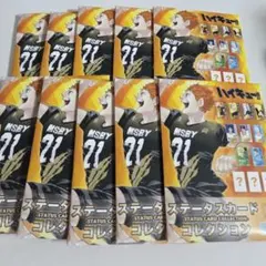 ハイキュー ステータスカードコレクション セミコンプ シークレット