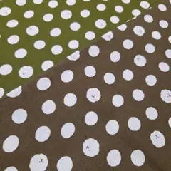 犬柄　ビジョンフリーゼ　ドット生地はぎれ2枚セット