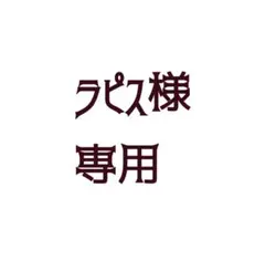 ラピス様専用