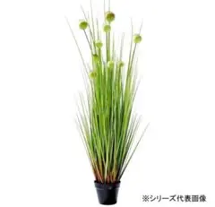 mayu様 リクエスト 2点 まとめ商品