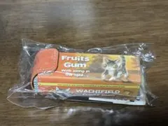 ☆チビひろ☆様専用　ダヤン　ガム型ミニケース