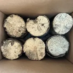 Item thumbnail for item 125c67c6-f438-42b6-a616-dbc96be583d9