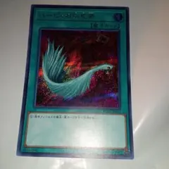 ハーピーィの羽根帚