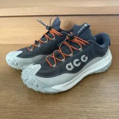 ACG マウンテンフライ2 LOW GORE-TEX US10 UK9 28cm
