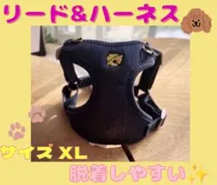 紺色　リード＆ハーネス　調整可能　脱着簡単　散歩　お出かけ　犬猫　鈴　丈夫　軽量のサムネイル