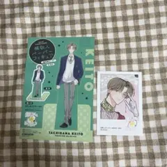 多聞くん今どっち 橘敬人 アニメイト 特典イラストカード ペーパーフィギュア