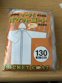 Item thumbnail for item 00aa0f3c-76fb-4921-a886-b3b5ab6d4919